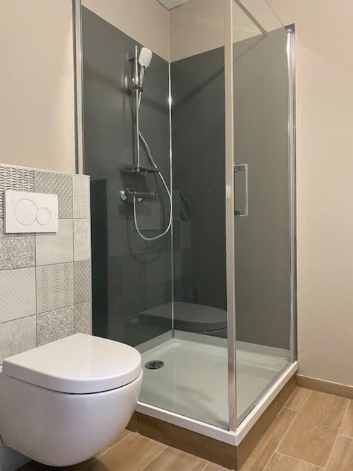 Appartement Proximite Centre Mulhouse Exterior foto